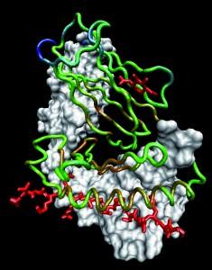 biotech19 biotech19