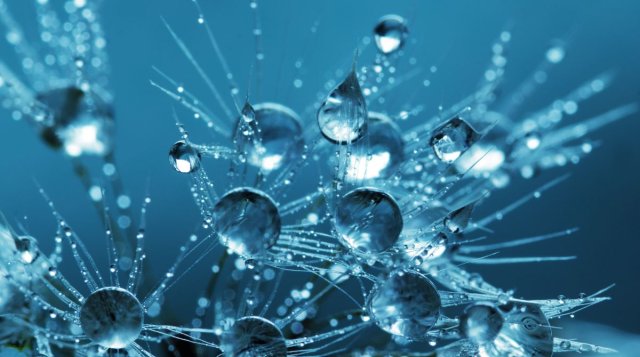 Open Day Area Scientifica