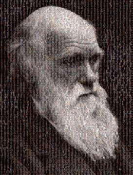 Darwin BTBS