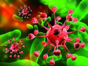 Scienze Biologiche_biologia-300x225.jpg